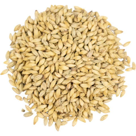 Premium Base Malts