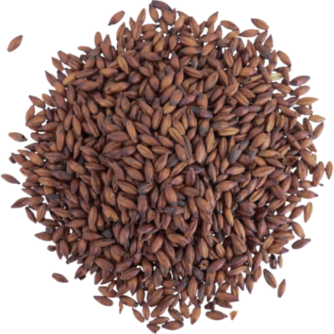 Roasted Malts