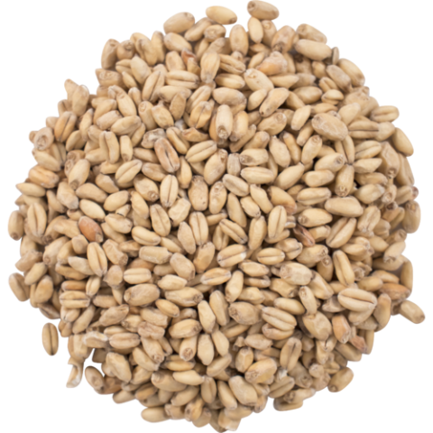 Heirloom Malts